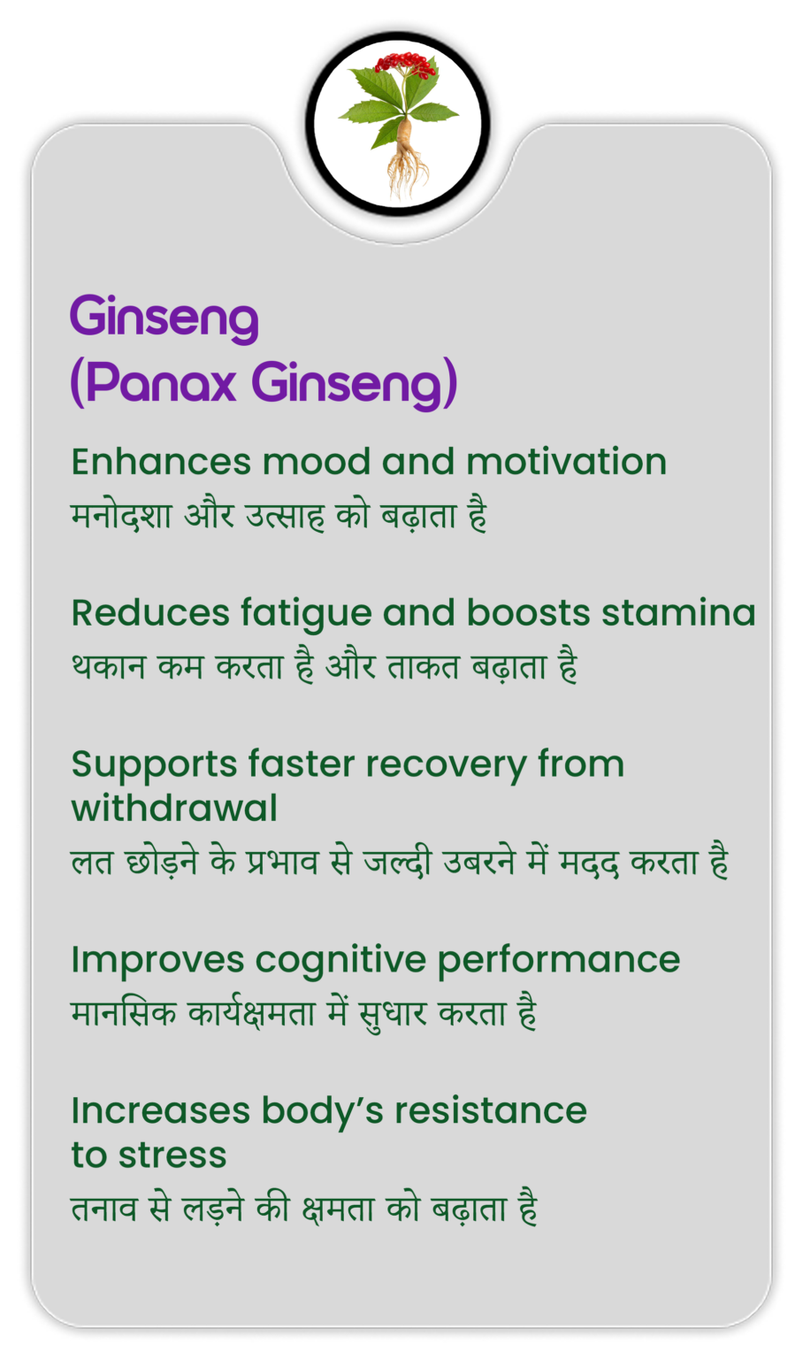 ginseng
